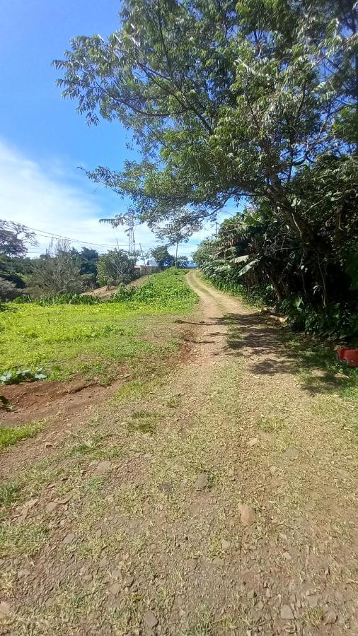 Finca Pantera Monteverde Exterior foto